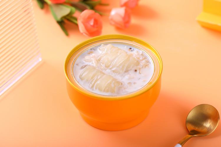 科技2024年新版即食花胶和糖水甜品等四大产品体系完整手册